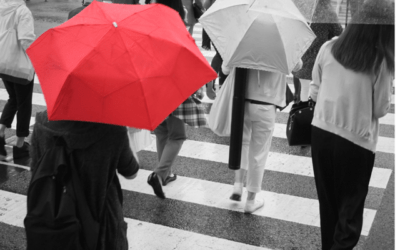 Isn’t all sex work  trafficking?? No, No it’s not