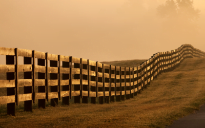 6 ways the Canadian Government Participated in Trafficking in Persons- 3 British Home Children